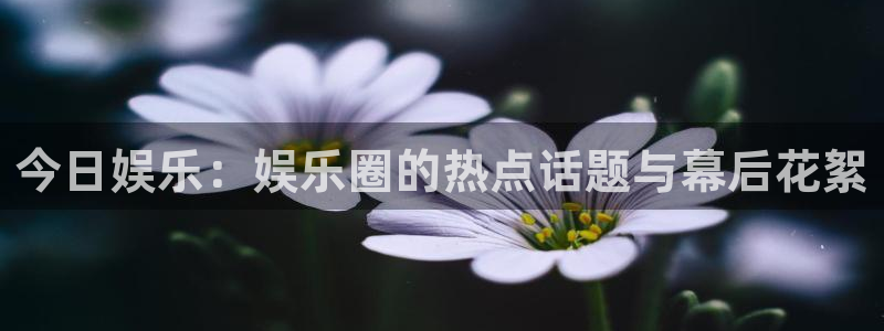 今日娱乐：娱乐圈的热点话题与幕后花絮