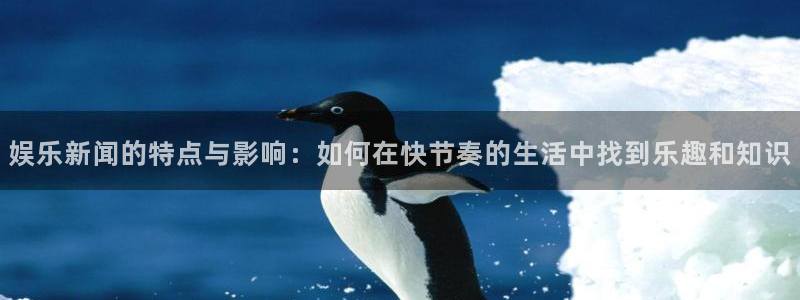 娱乐新闻的特点与影响：如何在快节奏的生活中找到乐趣和知识