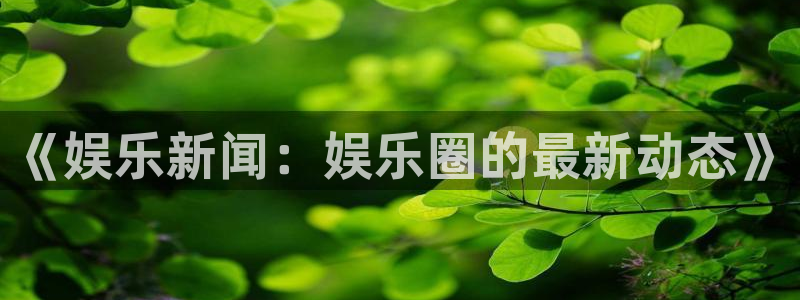 《娱乐新闻：娱乐圈的最新动态》