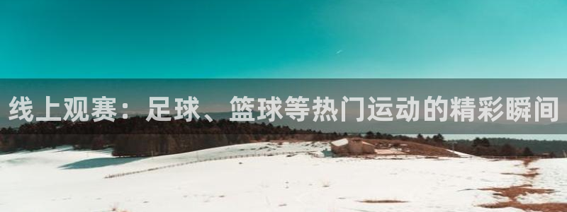 线上观赛：足球、篮球等热门运动的精彩瞬间