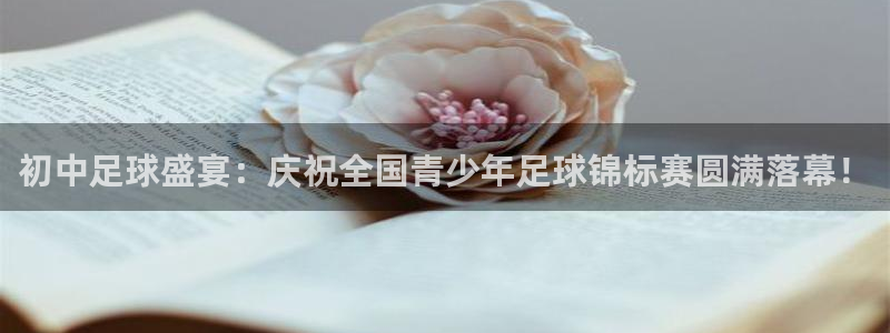 初中足球盛宴：庆祝全国青少年足球锦标赛圆满落幕！