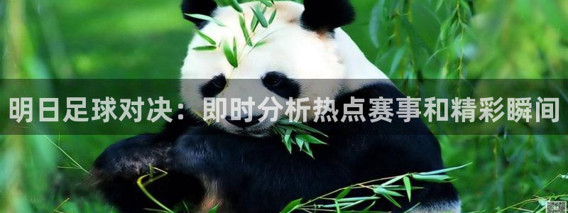 明日足球对决：即时分析热点赛事和精彩瞬间