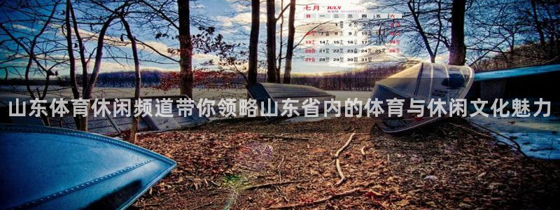 山东体育休闲频道带你领略山东省内的体育与休闲文化魅力