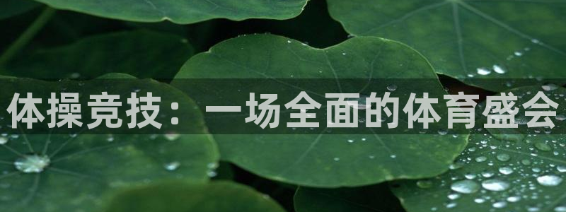 体操竞技：一场全面的体育盛会
