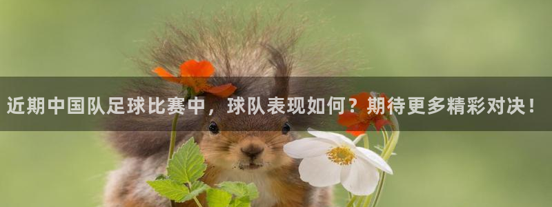 近期中国队足球比赛中，球队表现如何？期待