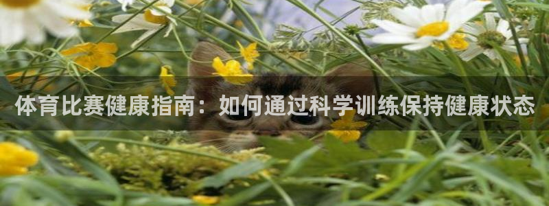 体育比赛健康指南：如何通过科学训练保持健